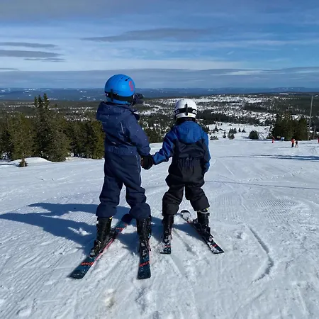 Elgen - Shuffleboard & Ski - Budor - 60 Min Osl 4*