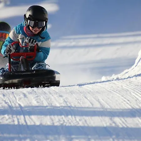 Elgen - Shuffleboard & Ski - Budor - 60 Min Osl 4* Loten