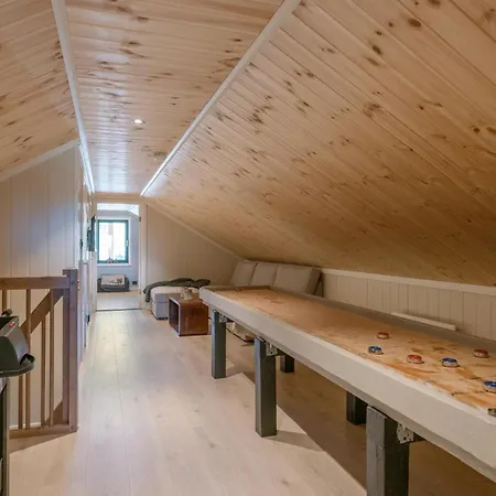 Elgen - Shuffleboard & Ski - Budor - 60 Min Osl 4*